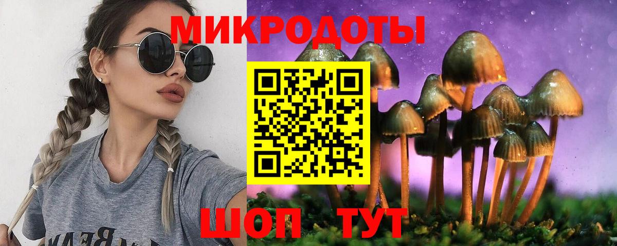 Пенза  Галлюциногенные грибы Psilocybine cubensis  Вход с VPN 